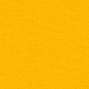 Buckram Yellow.jpg